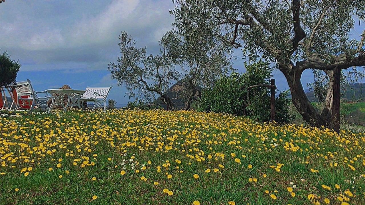 Agriturismo Villa Felice Βολτέρρα Εξωτερικό φωτογραφία